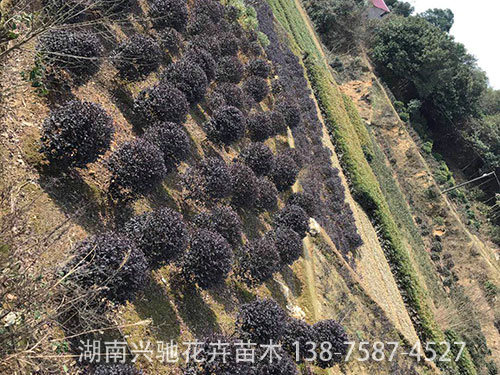 出貨現(xiàn)場(chǎng)