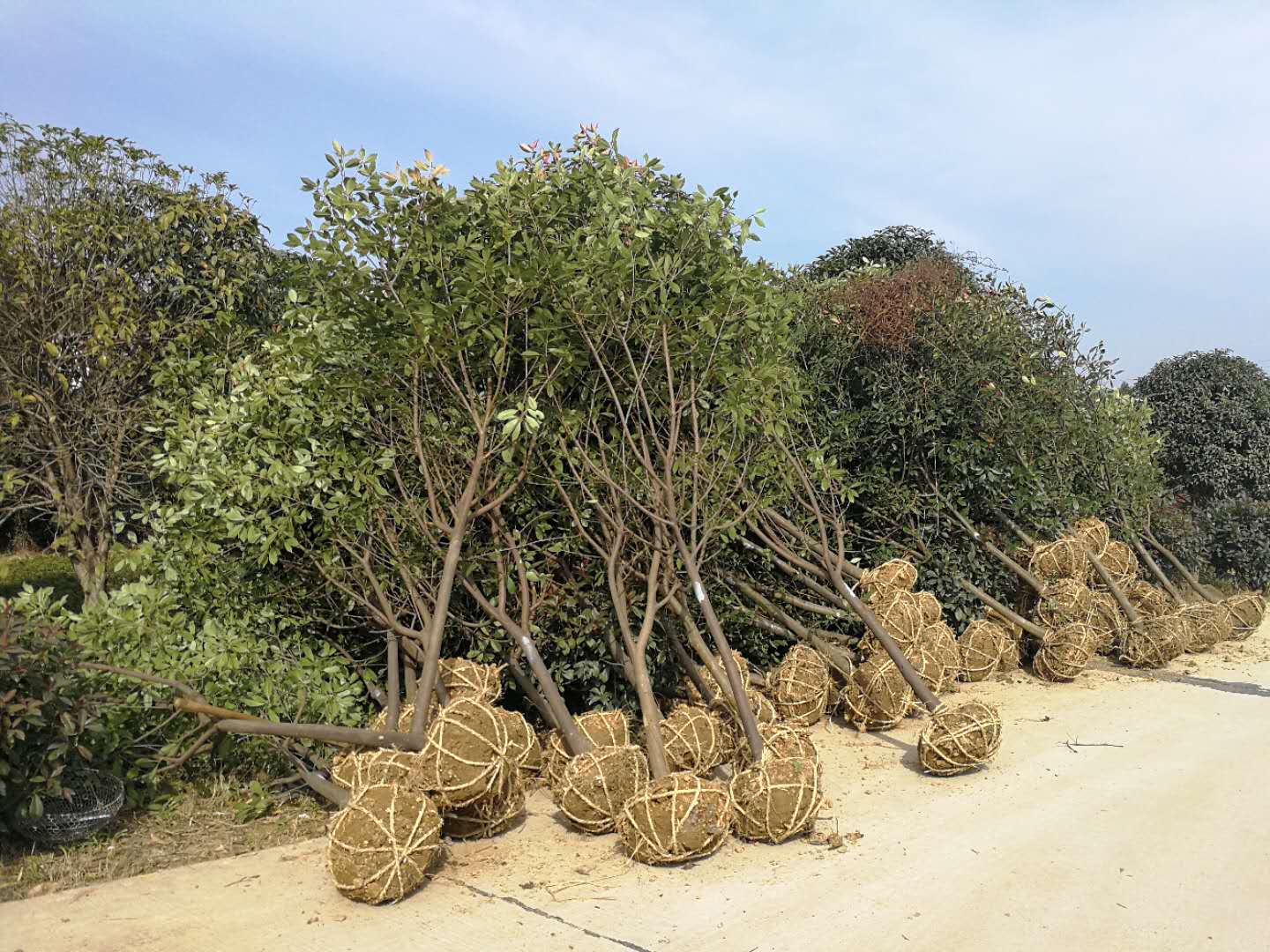 出貨現(xiàn)場(chǎng)