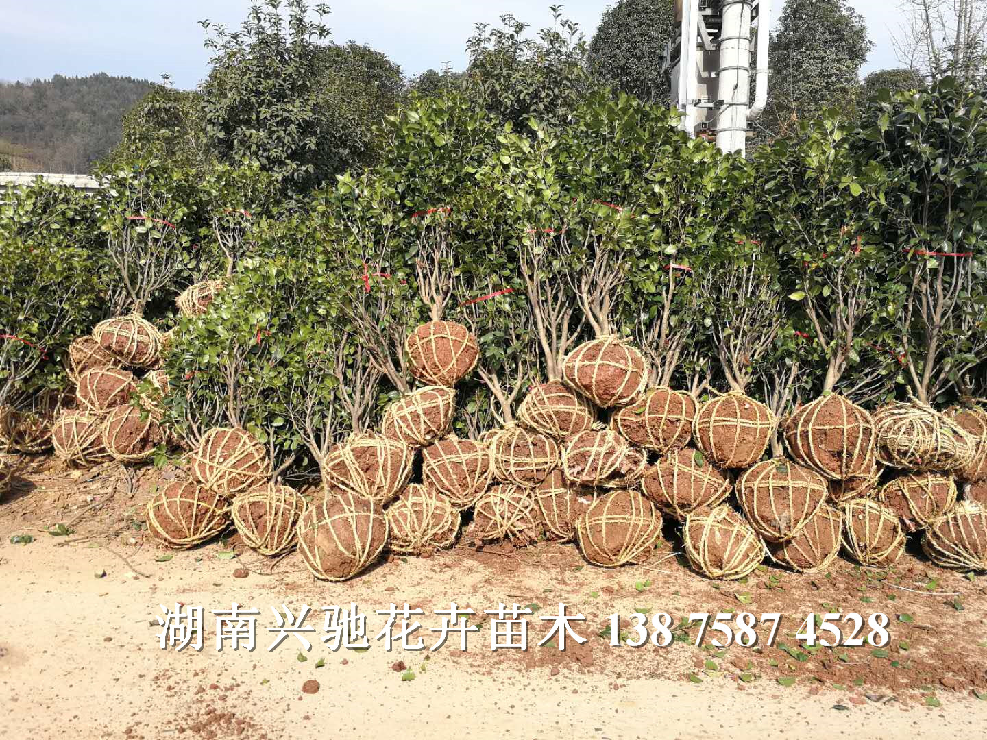 出貨現(xiàn)場(chǎng)