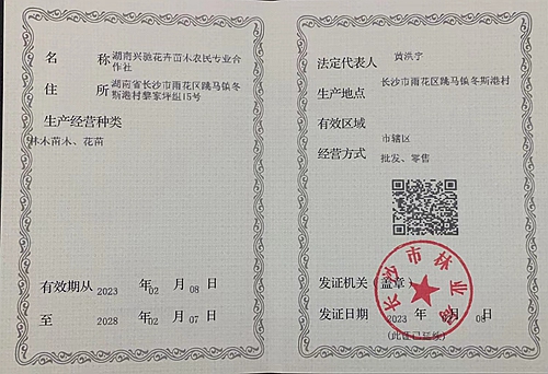 湖南興馳花卉苗木農(nóng)民專業(yè)合作社,苗木種植,長(zhǎng)沙香樟供應(yīng),長(zhǎng)沙苗木生產(chǎn),水杉種植,桂花樹供應(yīng)