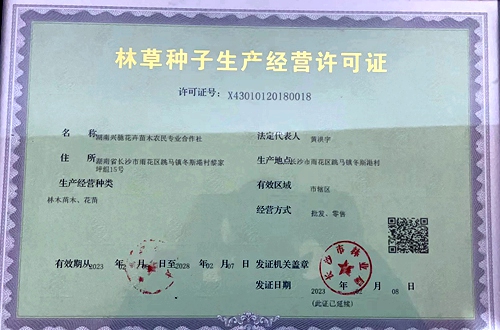 湖南興馳花卉苗木農(nóng)民專業(yè)合作社,苗木種植,長(zhǎng)沙香樟供應(yīng),長(zhǎng)沙苗木生產(chǎn),水杉種植,桂花樹供應(yīng)